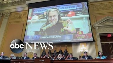 ABC News Live: Jury selection begins in case against Steve Bannon