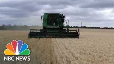 Agreement Reached To Reopen Ukrainian Ports For Grain Exports