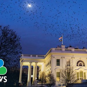 WH Downplays Recession Fears, But Inflation Shows ‘We’re Living In A Complicated Economy’