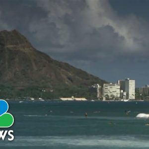 Dangerous Sea Life Encounters Increase For boaters And Swimmers