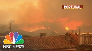 Deadly Heatwave, Wildfires Raging Across Europe