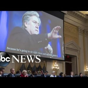 Steve Bannon is found guilty after refusing Jan. 6 committee subpoena | WNT