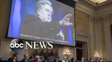 Steve Bannon is found guilty after refusing Jan. 6 committee subpoena | WNT