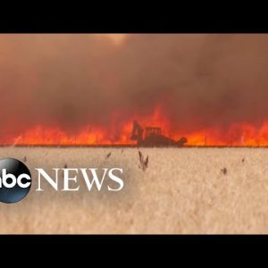 French officials warn of 'heat apocalypse' as temps reach 109 degrees