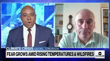 Rising temperatures, wildfires in Europe spark climate change concerns | ABCNL