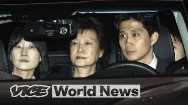 How A Puppy Is Linked To Corruption In S.Korea's Government