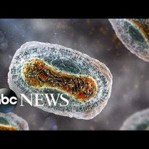 World Health Organization declares Monkeypox outbreak a 'public health emergency'