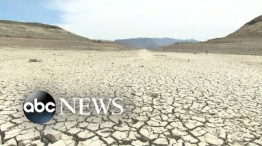 NASA releases startling image of Lake Mead shrinkage | WNT