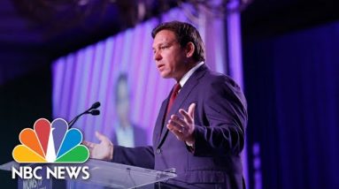 DeSantis: 'Our School System Is For Educating Kids, Not Indoctrinating Kids'