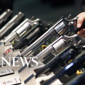 House Oversight Committee questions top gunmakers on role in gun violence