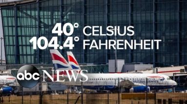 UK sees hottest day on record, fires near London | WNT