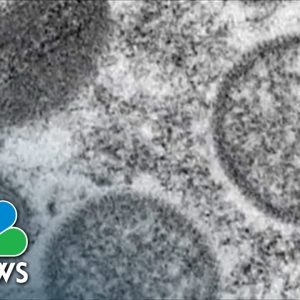 WHO Declares Monkeypox Global Public Health Emergency