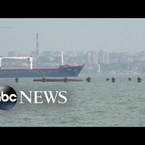 1st cargo ship carrying Ukrainian corn leaves Odesa