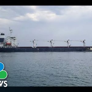 First Grain Ship Leaves Ukrainian Port After Months Of Russian Blockade