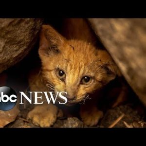 California wildfire, Midwest flooding, new view of galaxies: Week in Photos