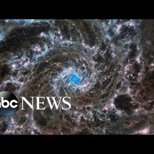 A Phantom galaxy, deadly algae, and the tomato festival: World in Photos, Aug. 31