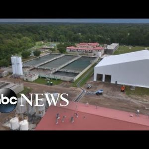 Water crisis unfolds in Mississippi l WNT