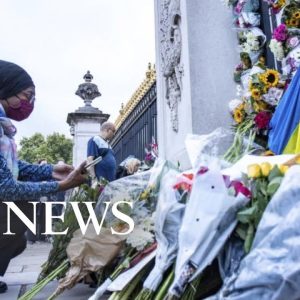 'People felt like they knew her': Royal historian on the Queen | ABCNL