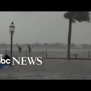 Tampa fire chief breaks down Ian response