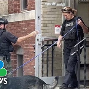 Northeastern University Employee Arrested In Bomb Hoax