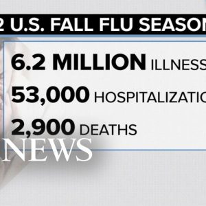 At least 53,000 currently hospitalized with flu: CDC