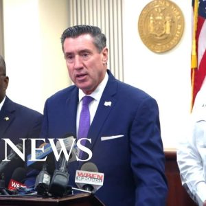 Buffalo mass shooter pleads guilty