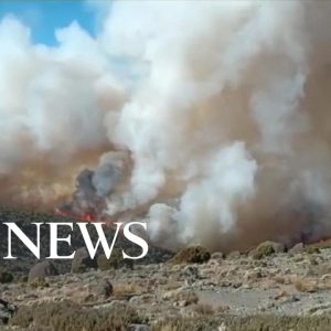 Wildfires continue to rage on Mount Kilimanjaro