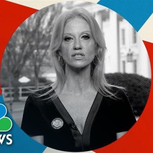 Kellyanne Conway: Sean Spicer Shared ‘Alternative Facts’ In Trump's Crowd Size