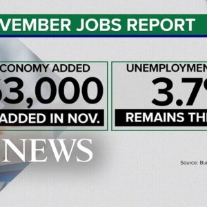 Experts analyze the latest job report