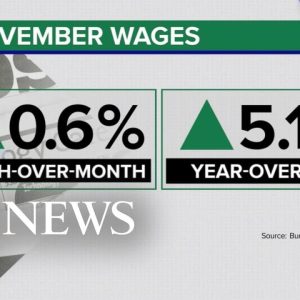 Hiring spree continues as employers add 263,000 jobs in November