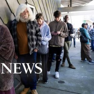 Georgia voters race to polls for final day of early voting ahead of runoff | GMA