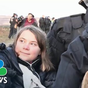 Greta Thunberg detained while protesting German coal mine