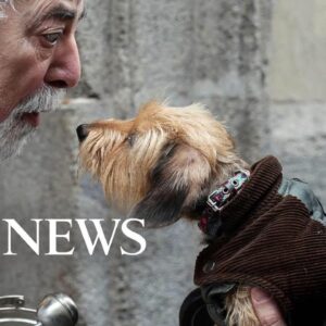 Animals blessed, Prince William and Greta Thunberg: World in Photos, Jan. 17