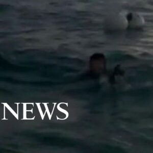 Lost diver rescued at sea