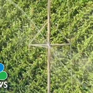 Organic fraud rings targeted for selling dishonest products