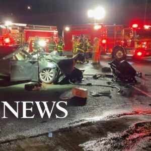 Deadly crashes involving Teslas kill 5 over the weekend | WNT
