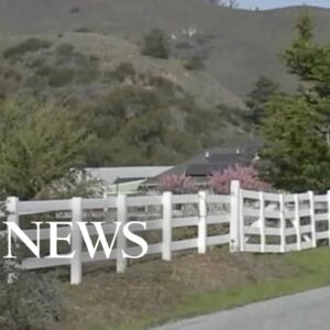 Mom fights off mountain lion