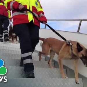 Search and rescue teams arrive in Turkey from around the world