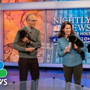 Adopting a puppy? We tell you what you need to know | Nightly News: Kids Edition