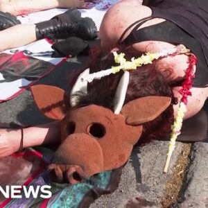 Protesters angered at resumption of bullfighting in Mexico City