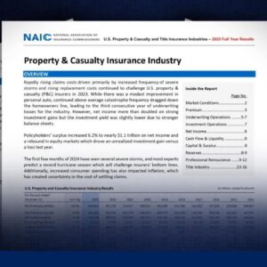 CA homeowners impacted by wildfires face uncertain future amid insurance crisis