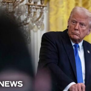 How courts determine when the executive branch exceeds its powers