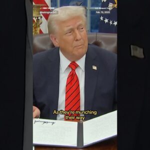 President Trump signed an executive order encouraging consumers to buy plastic drinking straws.