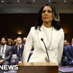 Senate committee advances Tulsi Gabbard's nomination to serve as DNI