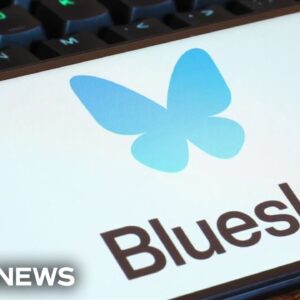 'Choose your own adventure': Bluesky CEO explains why its algorithm is different