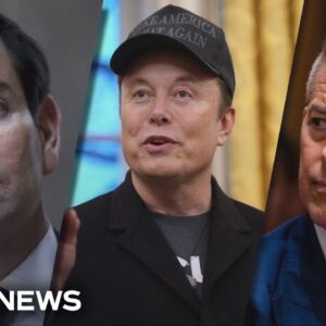 Trump denies Musk clashed with cabinet members