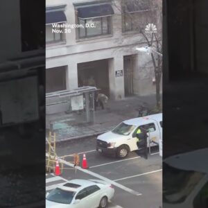 Police subdue suspect after two National Guard members shot in D.C. attack