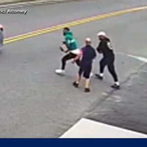 Porch pirate ‘criminal organization’ taken down