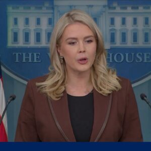 White House Press Secretary on Epstein emails: 'President Trump did nothing wrong'