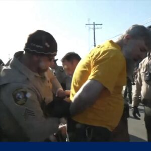 Several protesters detained outside Chicago-area ICE detention center